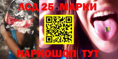 гашик Будённовск