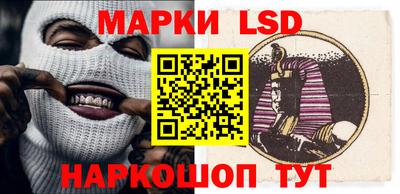гашик Будённовск