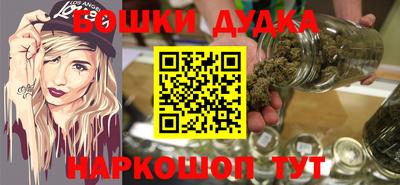 гашик Будённовск