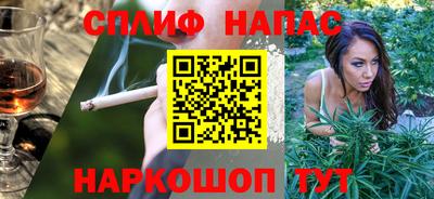 гашик Будённовск