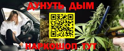 гашик Будённовск
