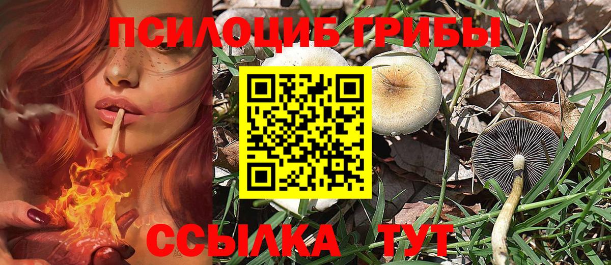 Псилоцибиновые грибы мицелий Волоколамск